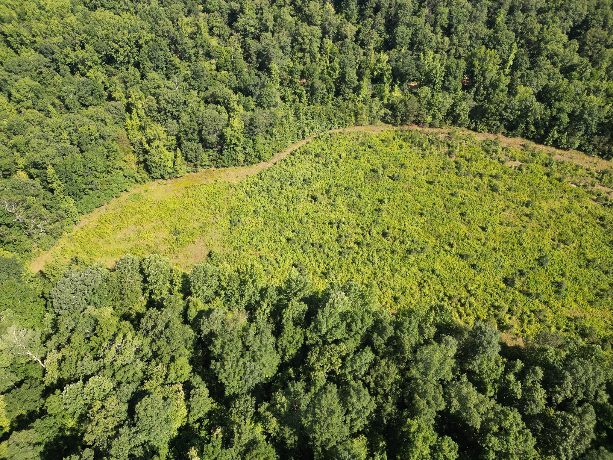 0 Brushy Road Centerville, TN 37033 - Photo 8 of 49