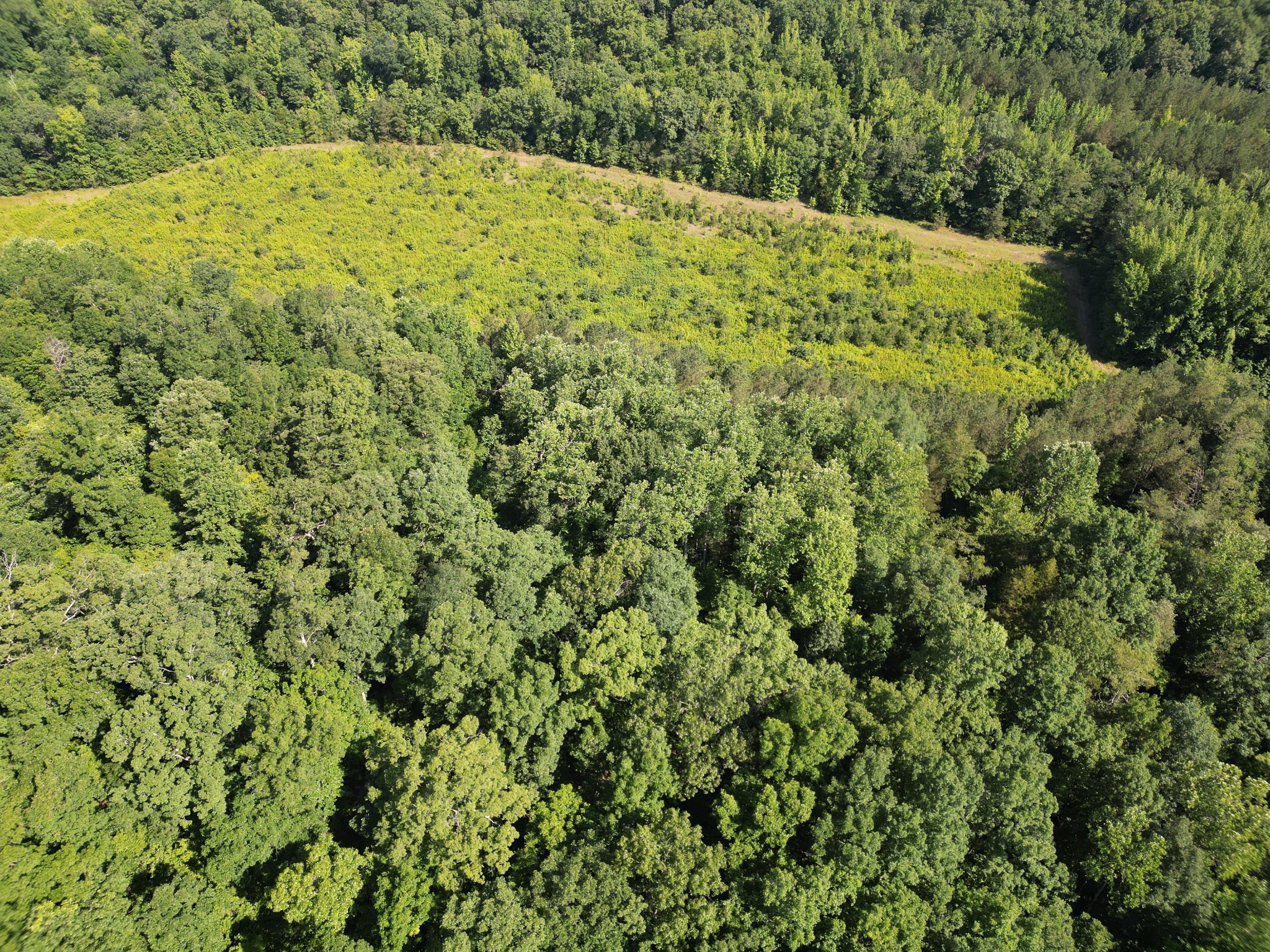 0 Brushy Road Centerville, TN 37033 - Photo 10 of 49