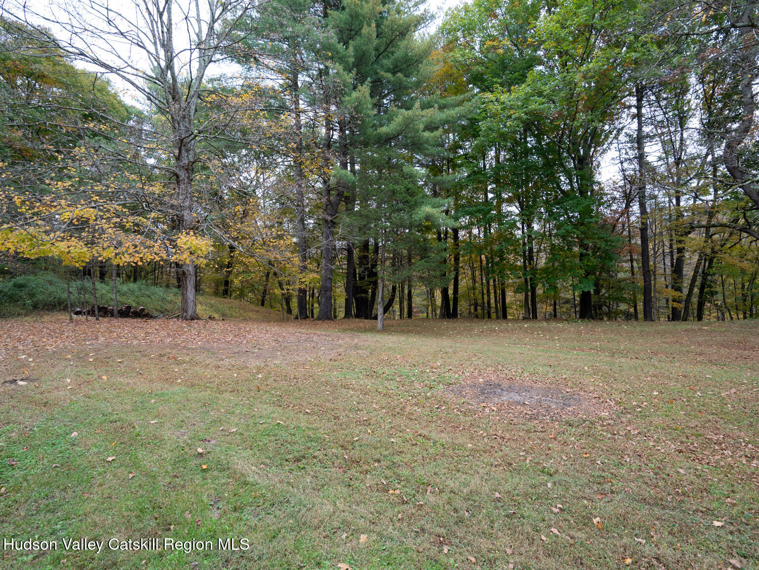 8 Creekside Road Hopewell Junction, NY 12533 - Photo 34 of 34 a view of outdoor space with tree s