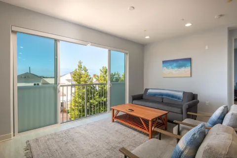 a room with furniture and a potted plant