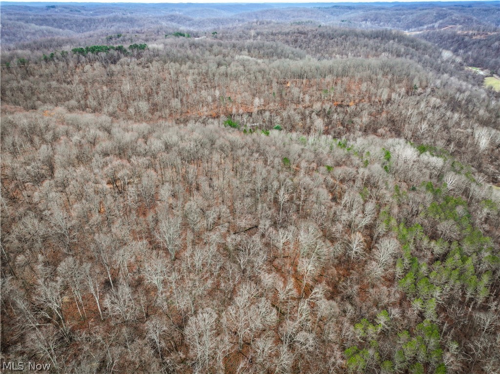 13 Ayers Ridge Lower Salem, OH 45745 - Photo 28 of 32 Bird's eye view of a forest