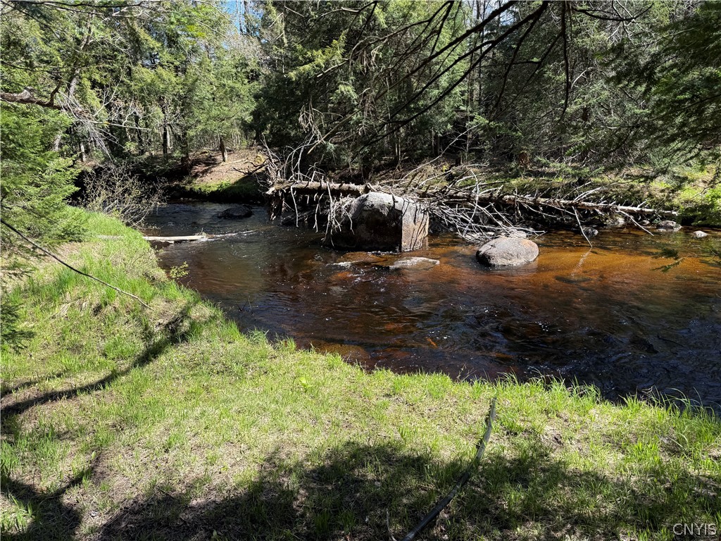 Lot # Meekerville Road Forestport, NY 13338 - Photo 28 of 45