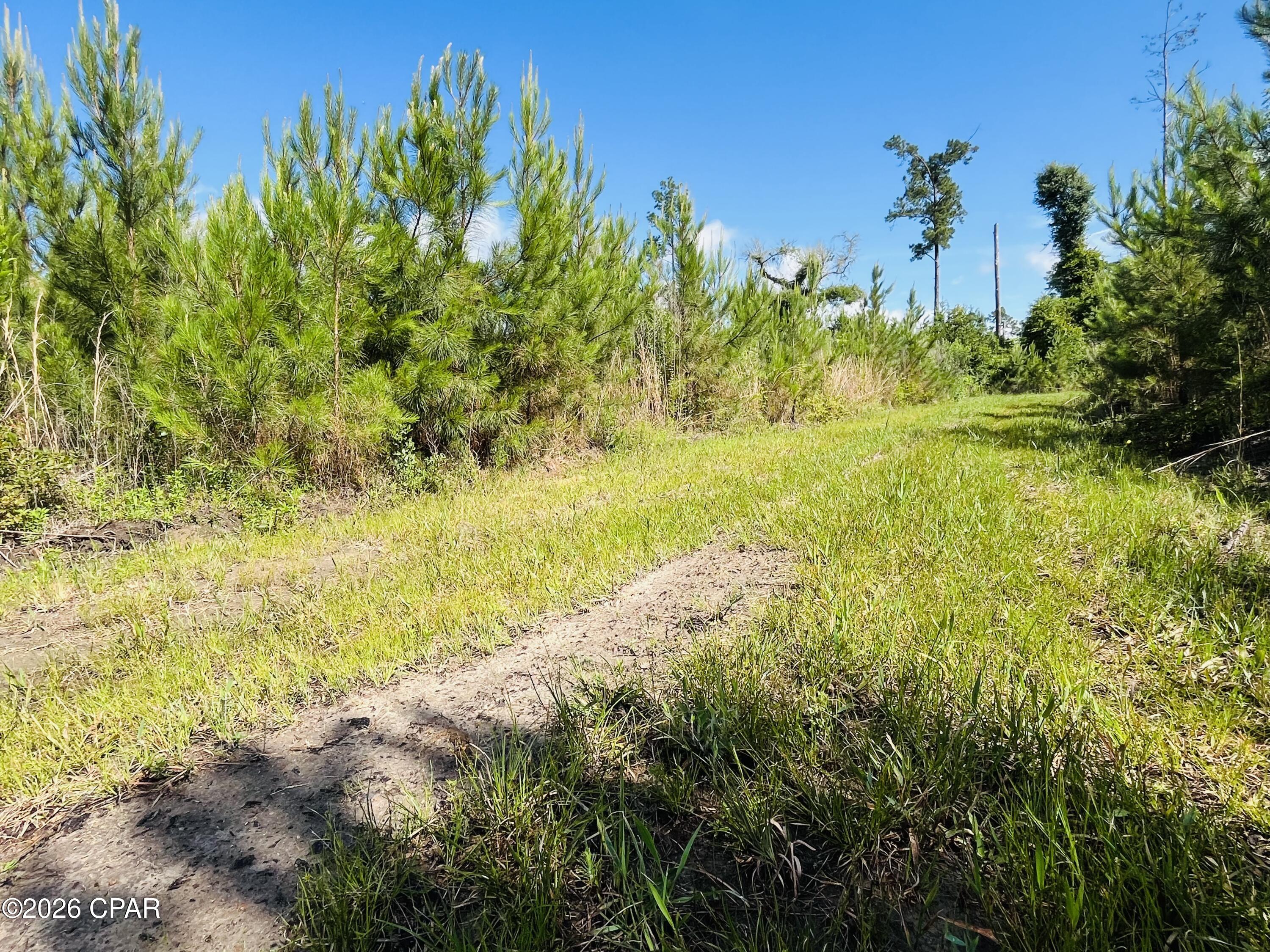 Tbd Sinai Road Sneads, FL 32460 - Photo 22 of 24