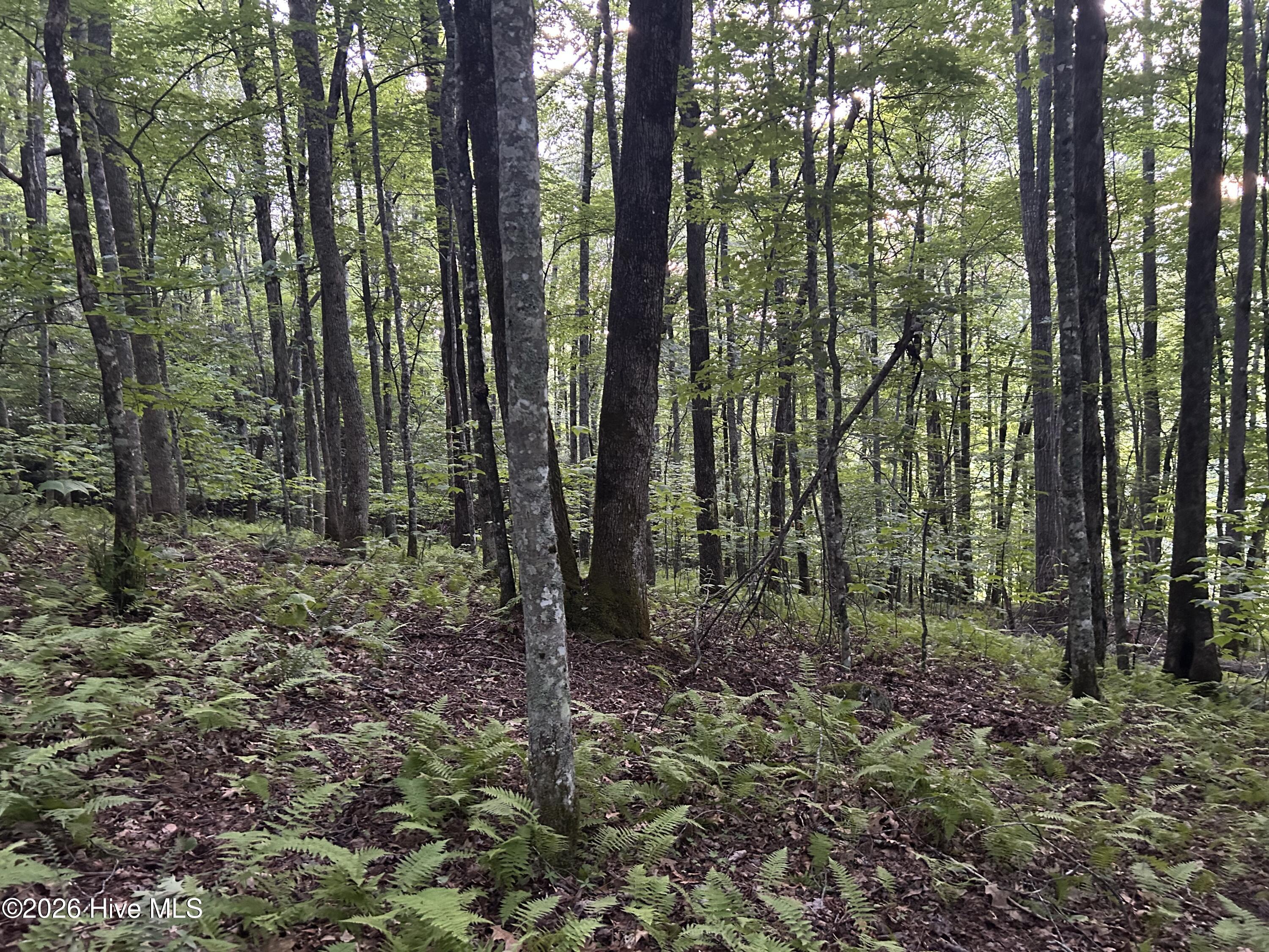 0 Otter Creek Road Topton, NC 28781 - Photo 19 of 20