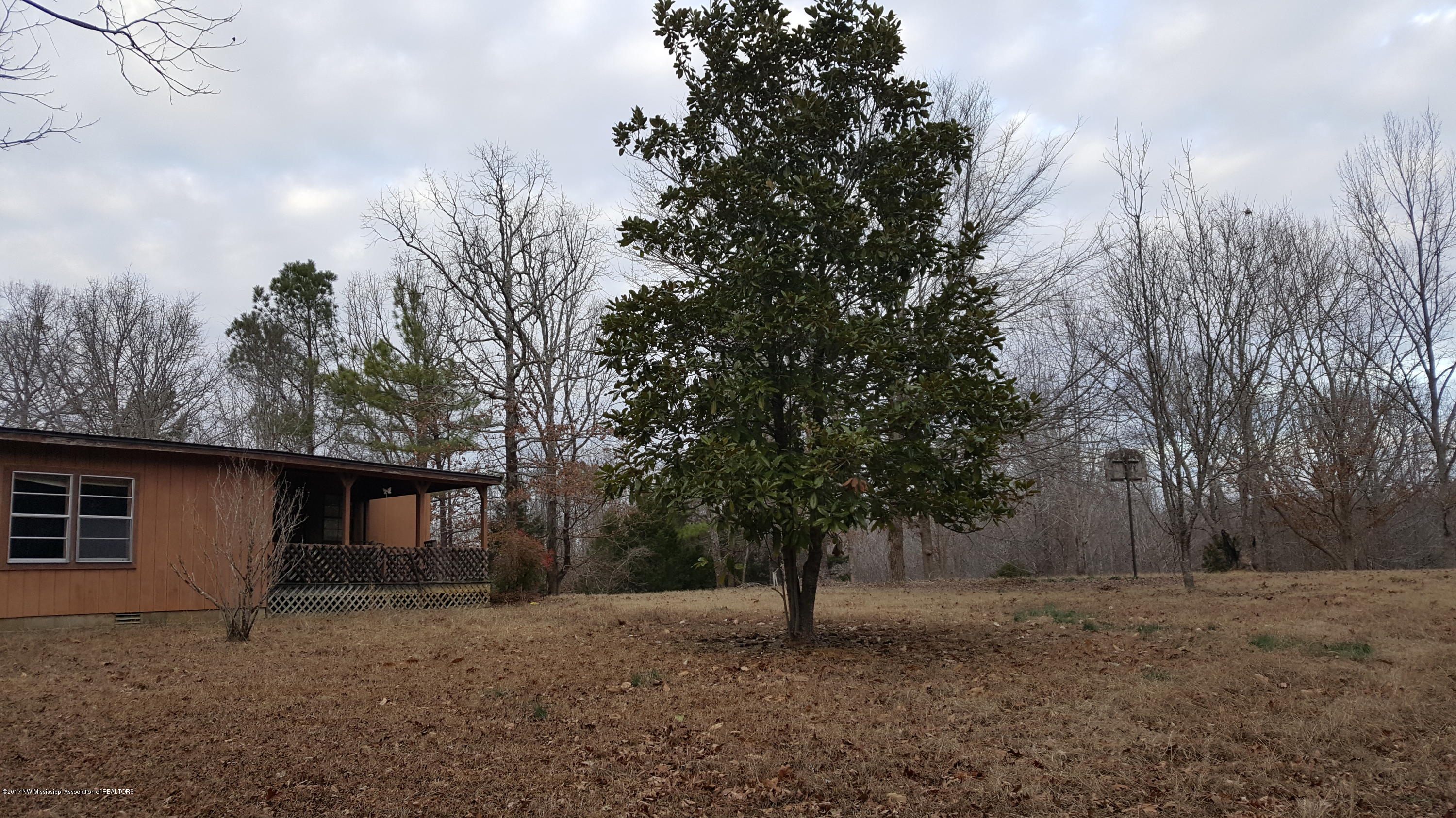1035 Ales Road Batesville, MS 38606 - Photo 3 of 15 Magnolia in Front yard