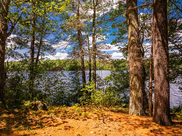 $850,000 | Lot 3 Aldus Shores Road, Searsmont, ME 04973