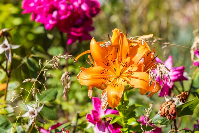 $739,000 | 99 Route 130, Forestdale, MA 02644