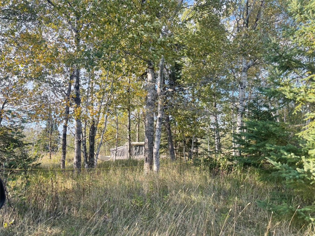 10427 Devries Road Poplar, WI 54864 - Photo 10 of 23