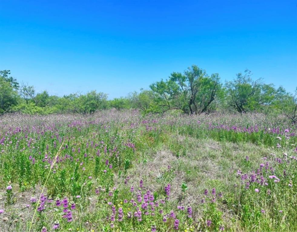 Lot 59 Comanche Lake Road Comanche, TX 76442 - Photo 2 of 6 a view of a lush green field