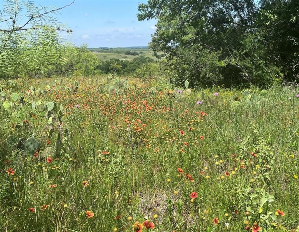 Lot 59 Comanche Lake Road Comanche, TX 76442 - Photo 4 of 6