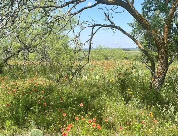 $60,000 | Lot 59 Comanche Lake Road, Comanche, TX 76442