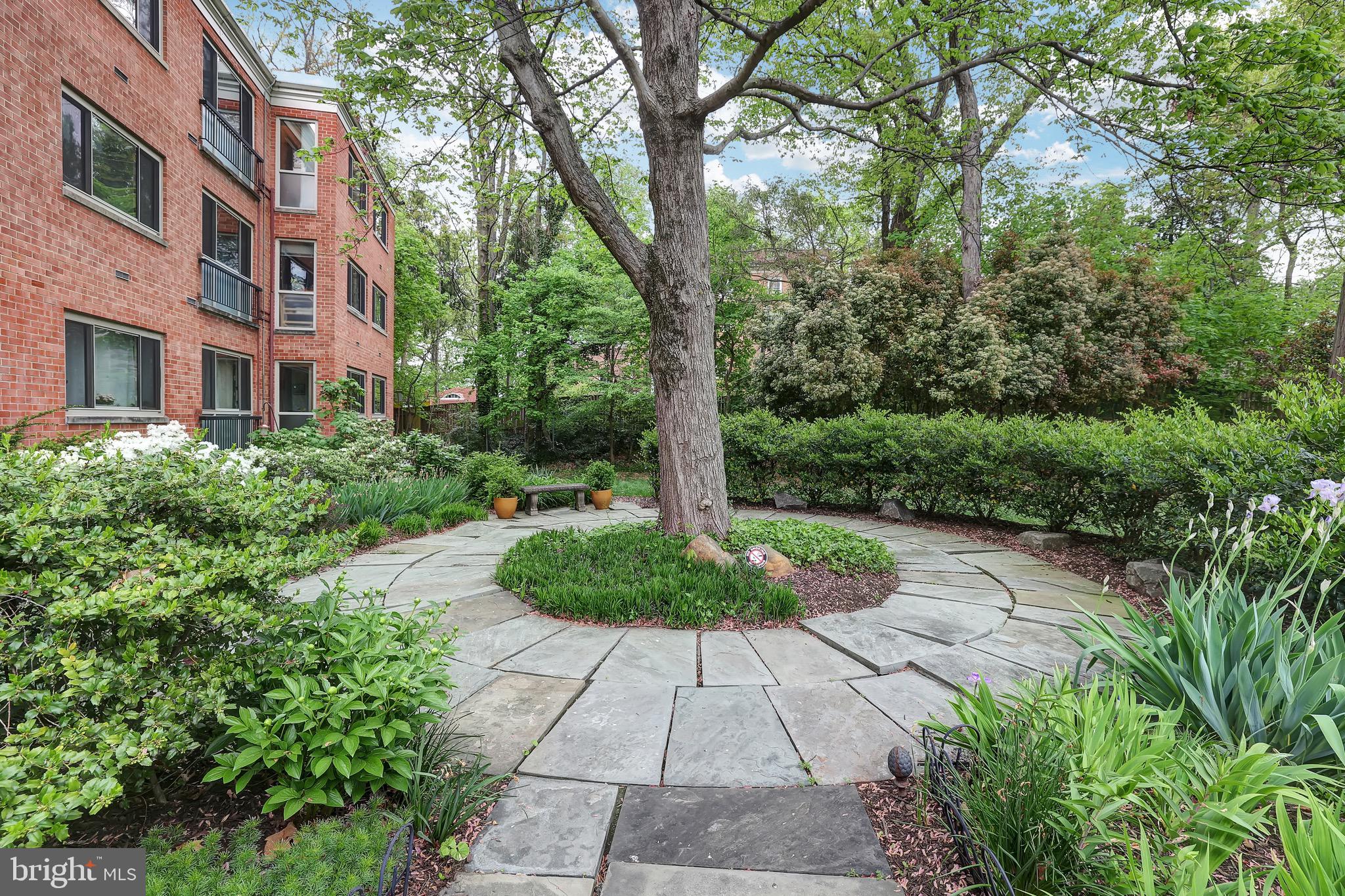 2711 Ordway Street Northwest, Unit 302 Washington, DC 20008 - Photo 10 of 47