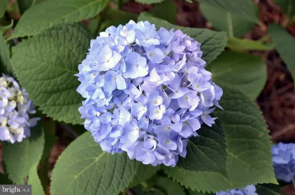 $399,900 | 5609 Woodcrest Avenue, Baltimore, MD 21215