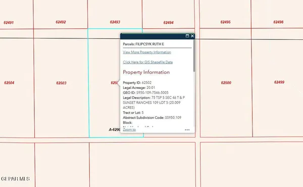 $20,000 | Pn-62502 Pn-62502 Sunset Ranches, Fort Hancock, TX 79839