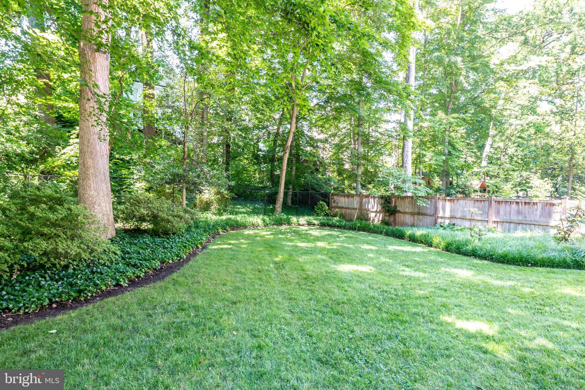 7202 Maple Avenue Chevy Chase, MD 20815 - Photo 6 of 10 Deep and flat backyard surrounded by trees