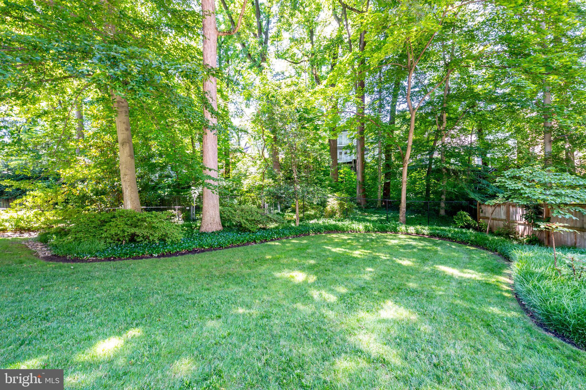 7202 Maple Avenue Chevy Chase, MD 20815 - Photo 7 of 10 Beautifully maintained gardens