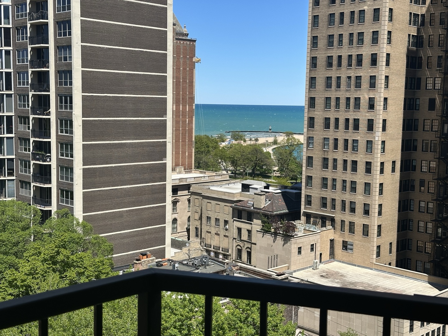 1450 North Astor Street, Unit 15AB Chicago, IL 60610 - Photo 23 of 23