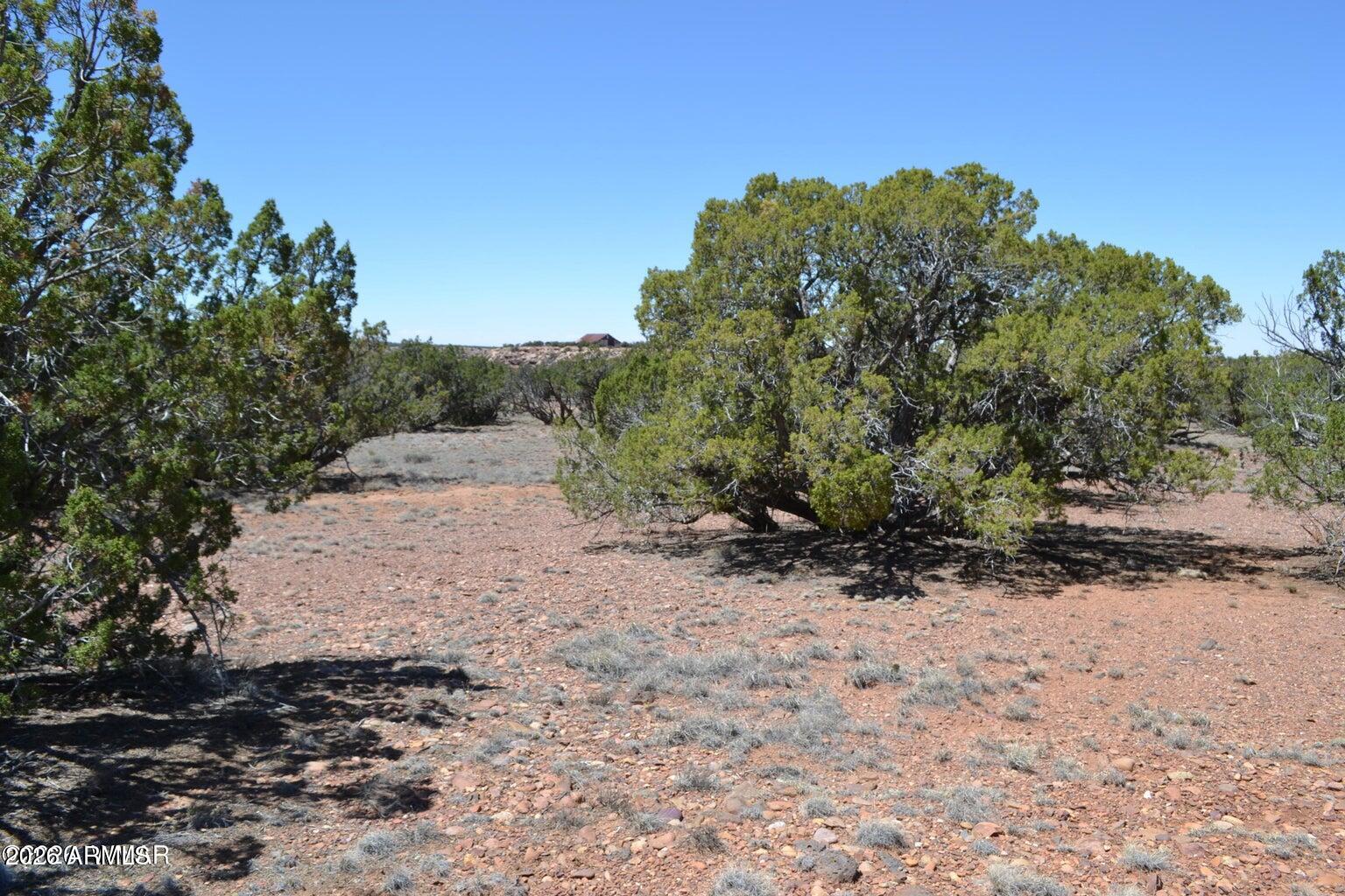 N8604 N8604, Unit 1 Concho, AZ 85924 - Photo 6 of 8 6