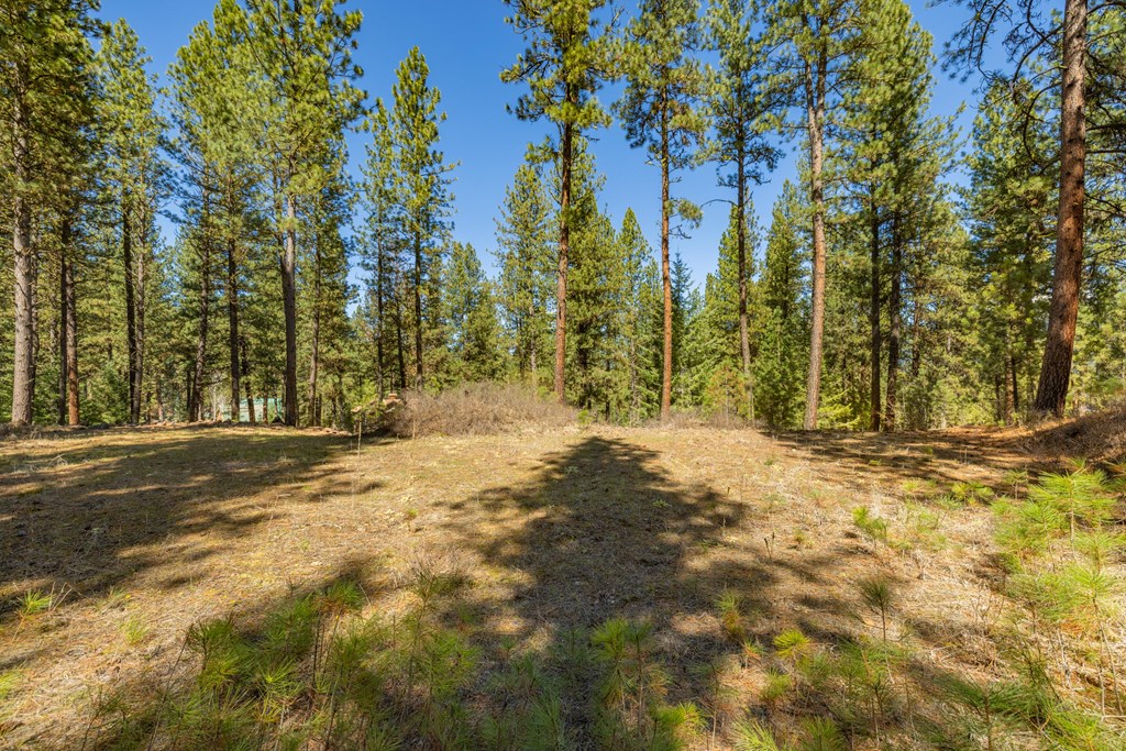 3919 Hot Springs Road, Unit 27 New Meadows, ID 83654 - Photo 6 of 23