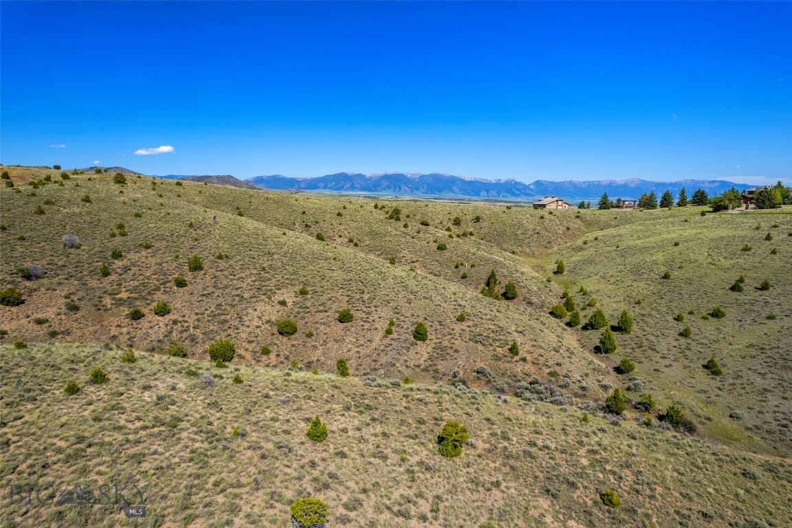 Tbd Twin River Cutoff Road Manhattan, MT 59741 - Photo 22 of 48 Gallery Image 22