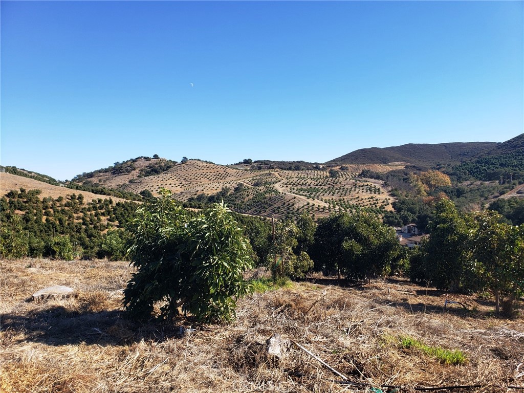 8 Calle Uva Temecula, CA 92590 - Photo 12 of 20