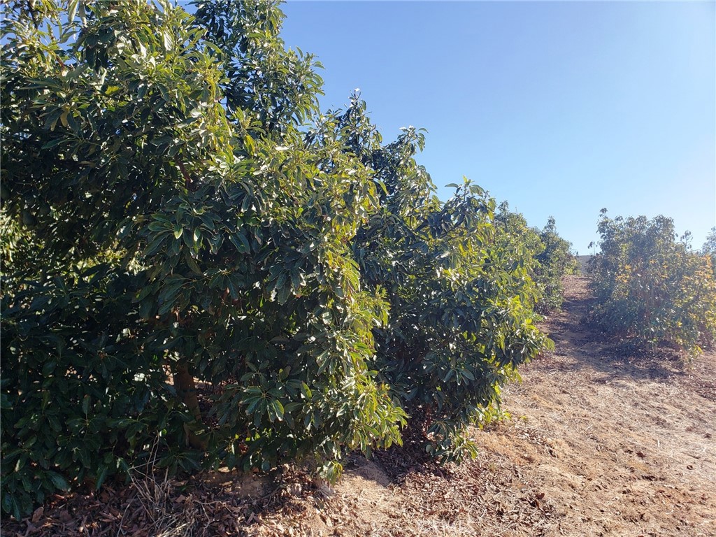 8 Calle Uva Temecula, CA 92590 - Photo 16 of 20