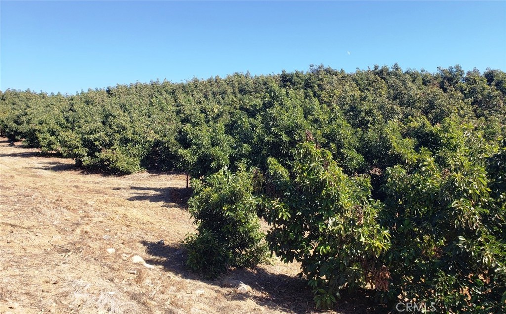 8 Calle Uva Temecula, CA 92590 - Photo 2 of 20