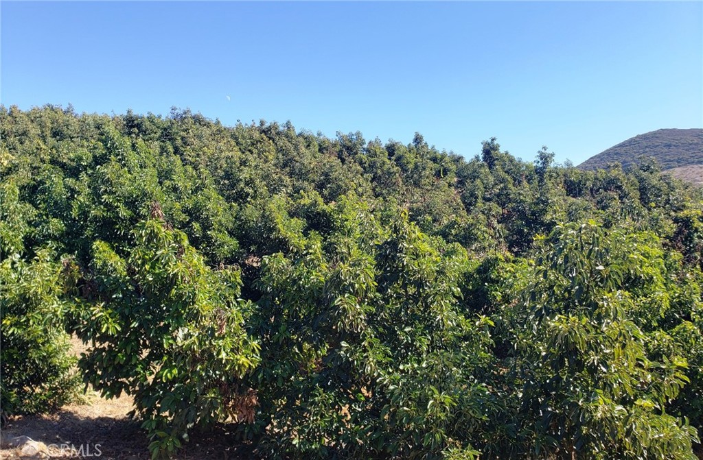 8 Calle Uva Temecula, CA 92590 - Photo 3 of 20