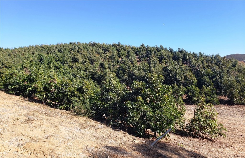 8 Calle Uva Temecula, CA 92590 - Photo 5 of 20