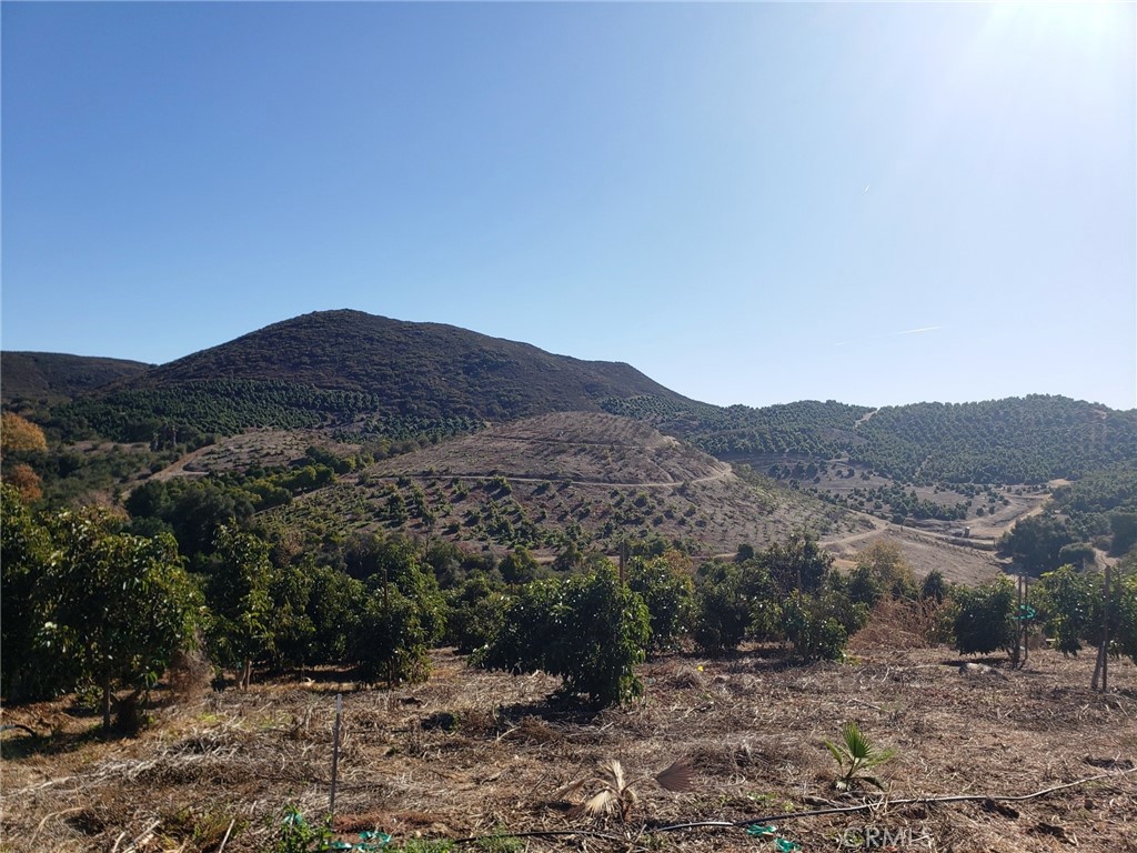 8 Calle Uva Temecula, CA 92590 - Photo 8 of 20