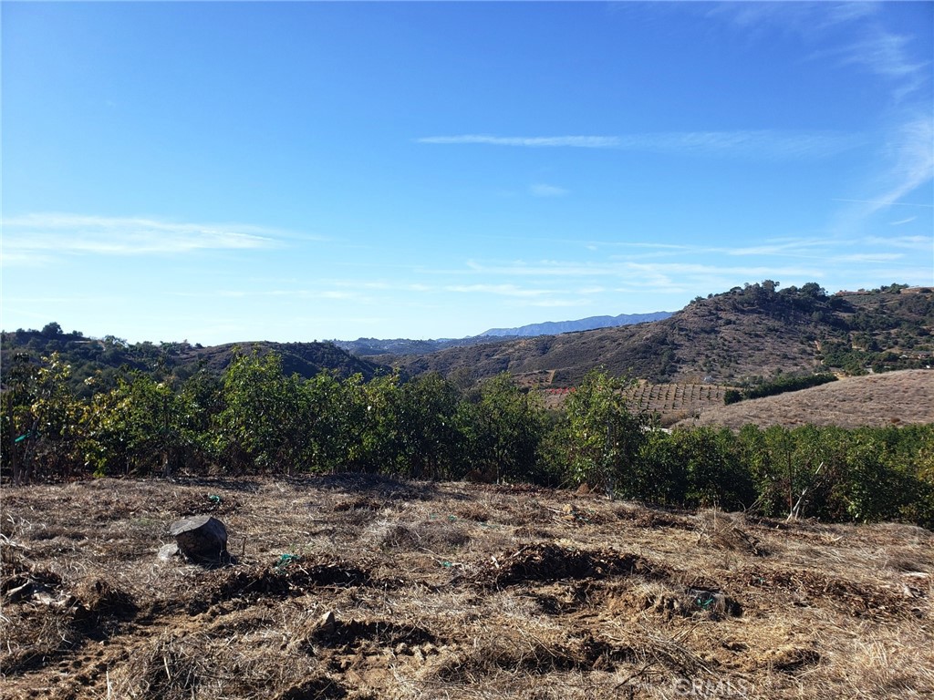8 Calle Uva Temecula, CA 92590 - Photo 9 of 20