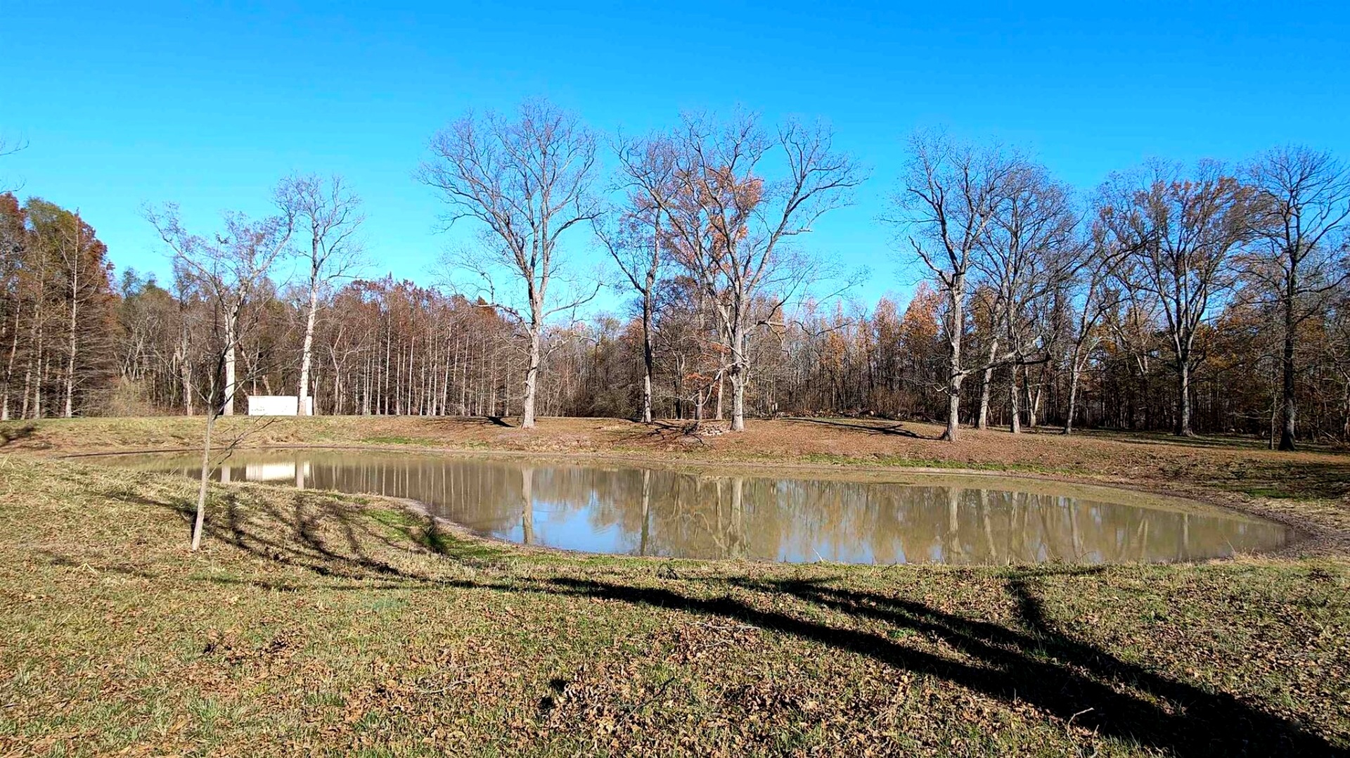 a view of a backyard with snow