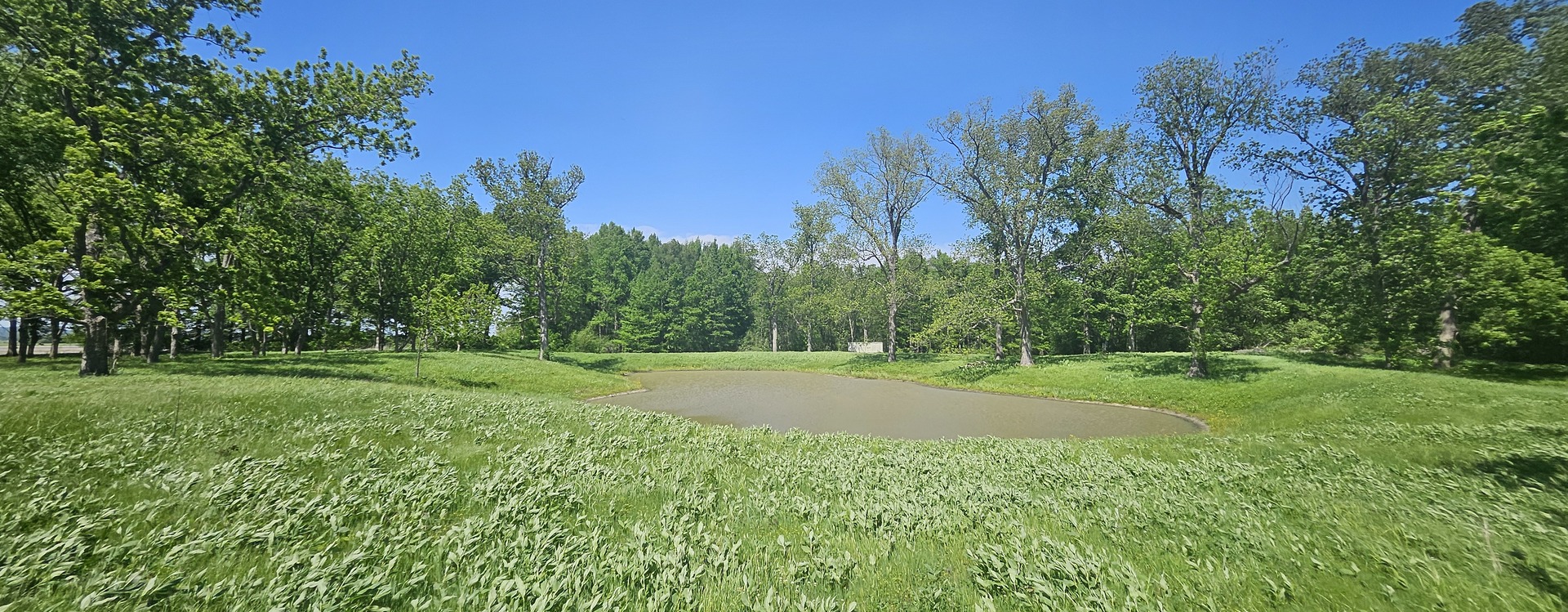 0 Gerard Road McClure, IL 62957 - Photo 2 of 7 a view of a big yard with a house in the background
