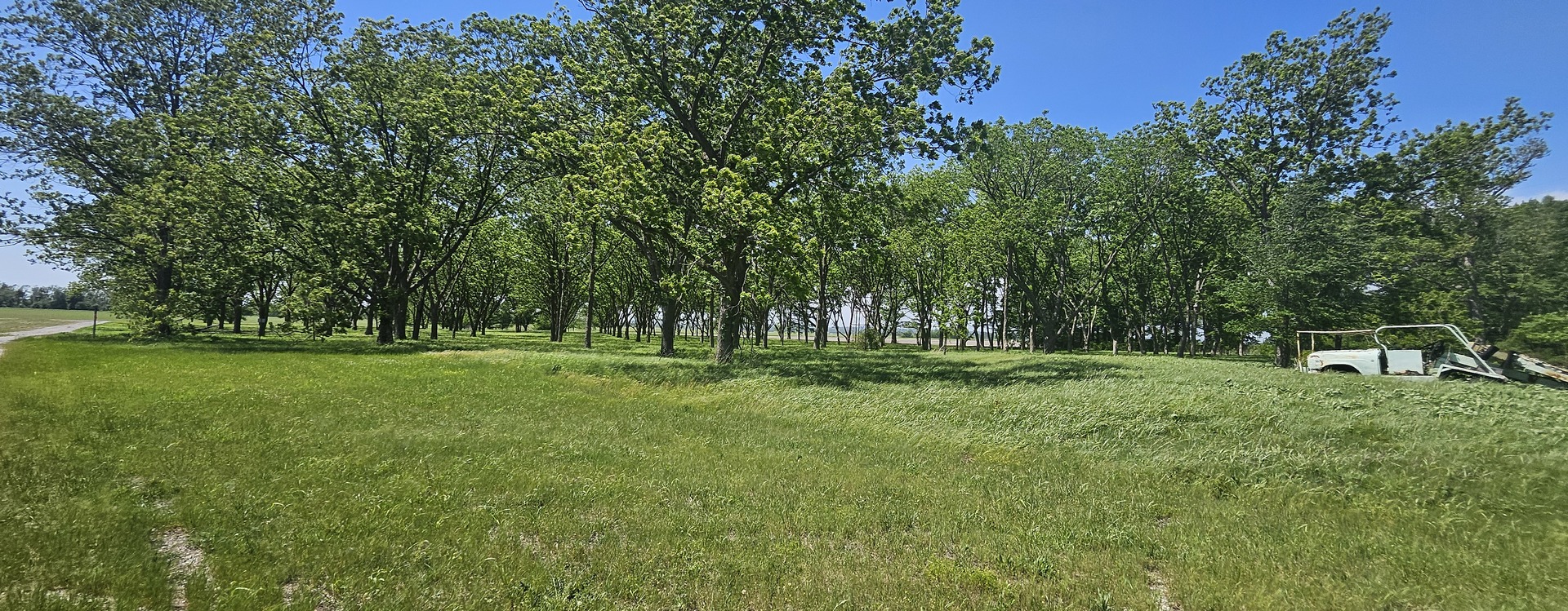 0 Gerard Road McClure, IL 62957 - Photo 7 of 7 a view of backyard with trees