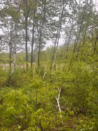 $19,900 | Xxx Cardinal Trail, Randall, MN 56475