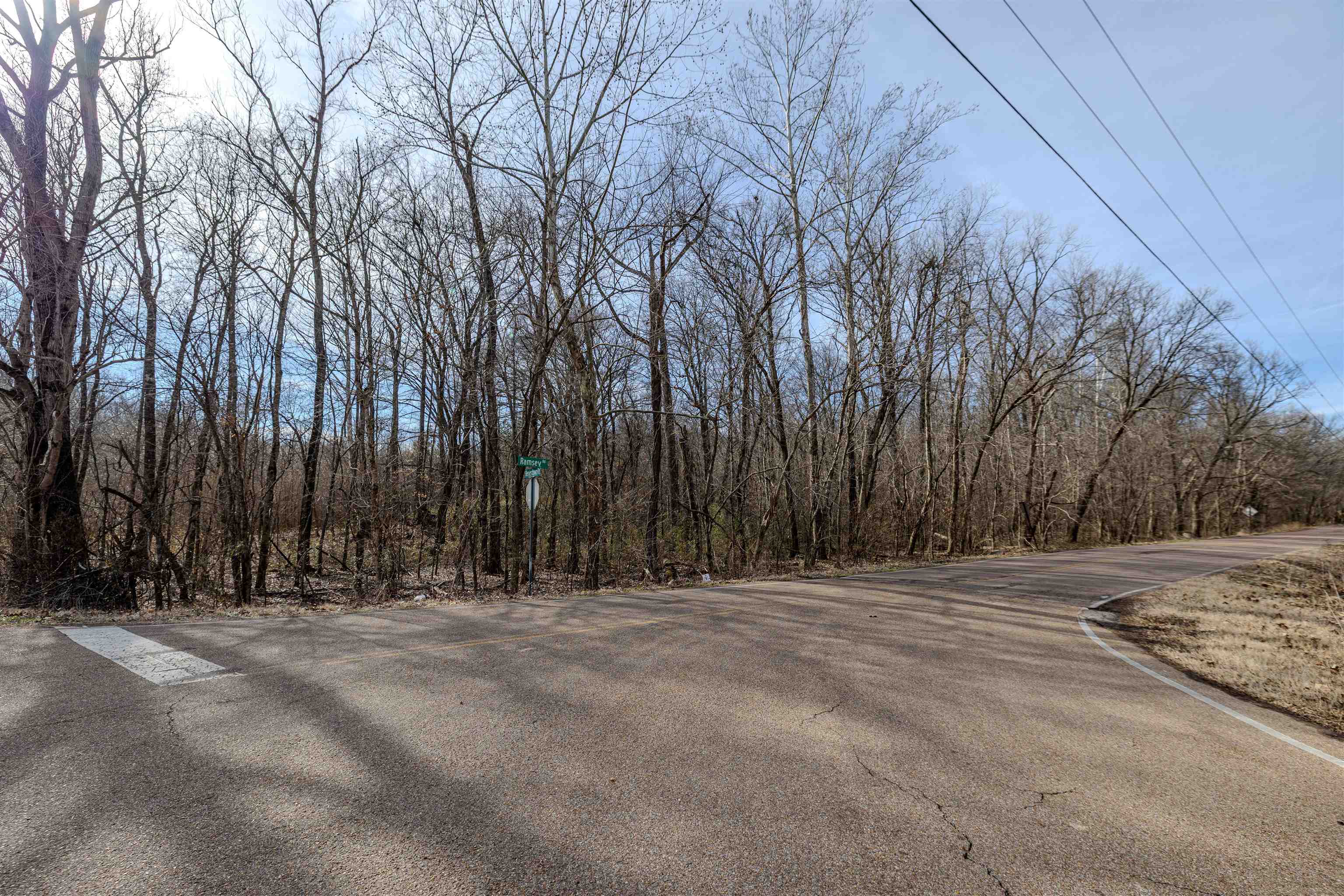 5155 Benjestown Road Memphis, TN 38127 - Photo 2 of 36 a view of outdoor space with trees