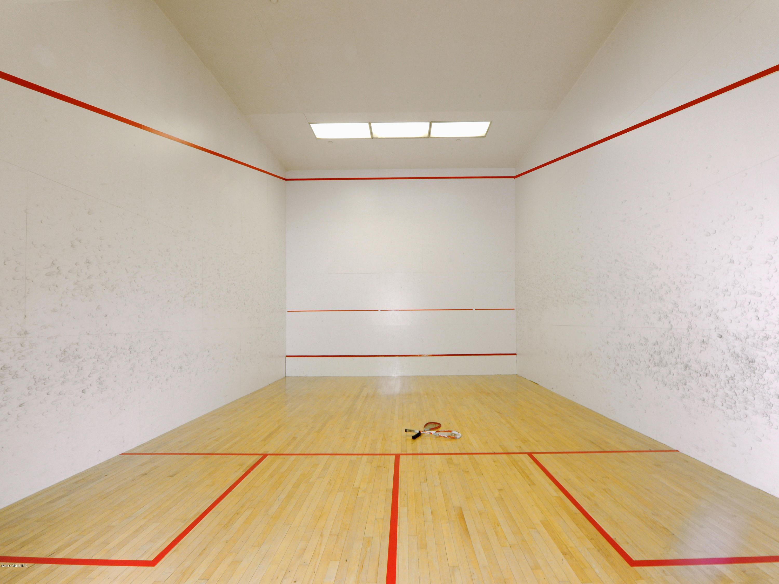45 Harding Road Old Greenwich, CT 06870 - Photo 28 of 32 Squash1