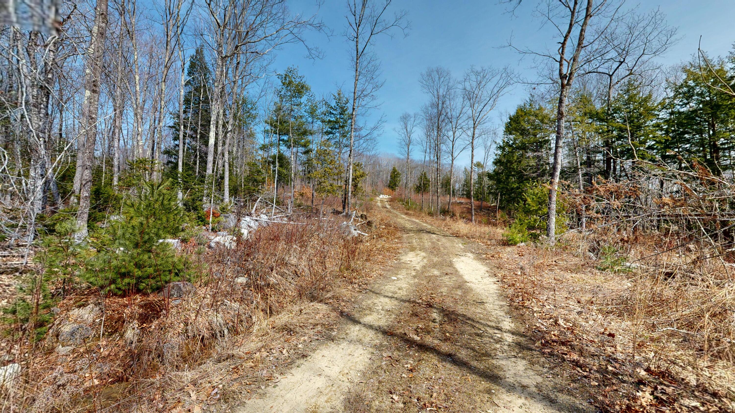 Lot 13 Wiley Road Greene, ME 04236 - Photo 5 of 9 Wiley-Road-Land-03312026_101931