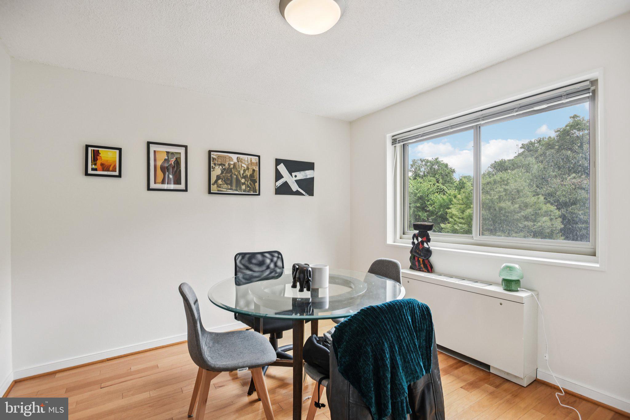 7333 New Hampshire Avenue, Unit 311S Takoma Park, MD 20912 - Photo 12 of 27 a view of a dining room with furniture window and outside view