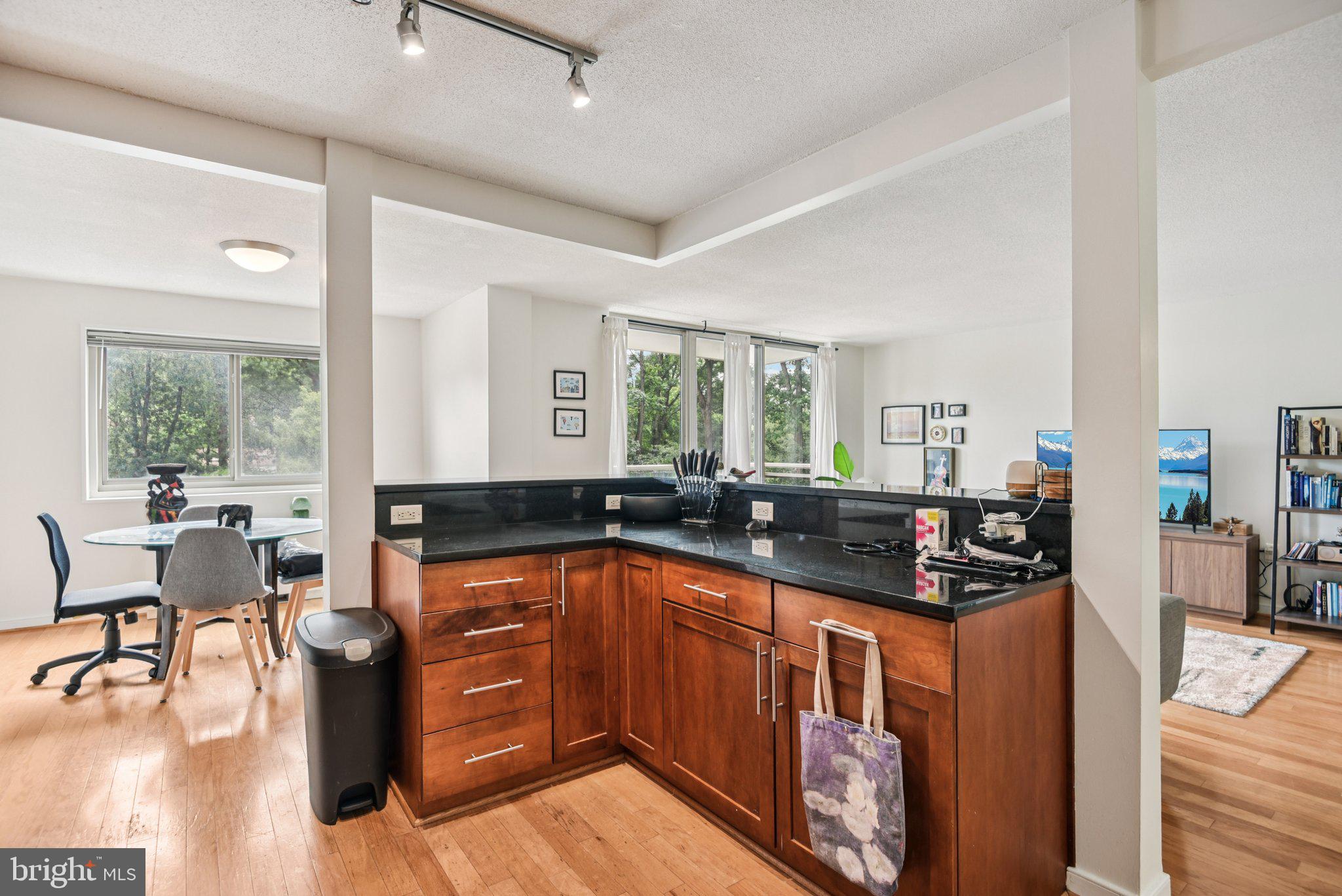7333 New Hampshire Avenue, Unit 311S Takoma Park, MD 20912 - Photo 16 of 27 a kitchen with lots of counter top space and living room