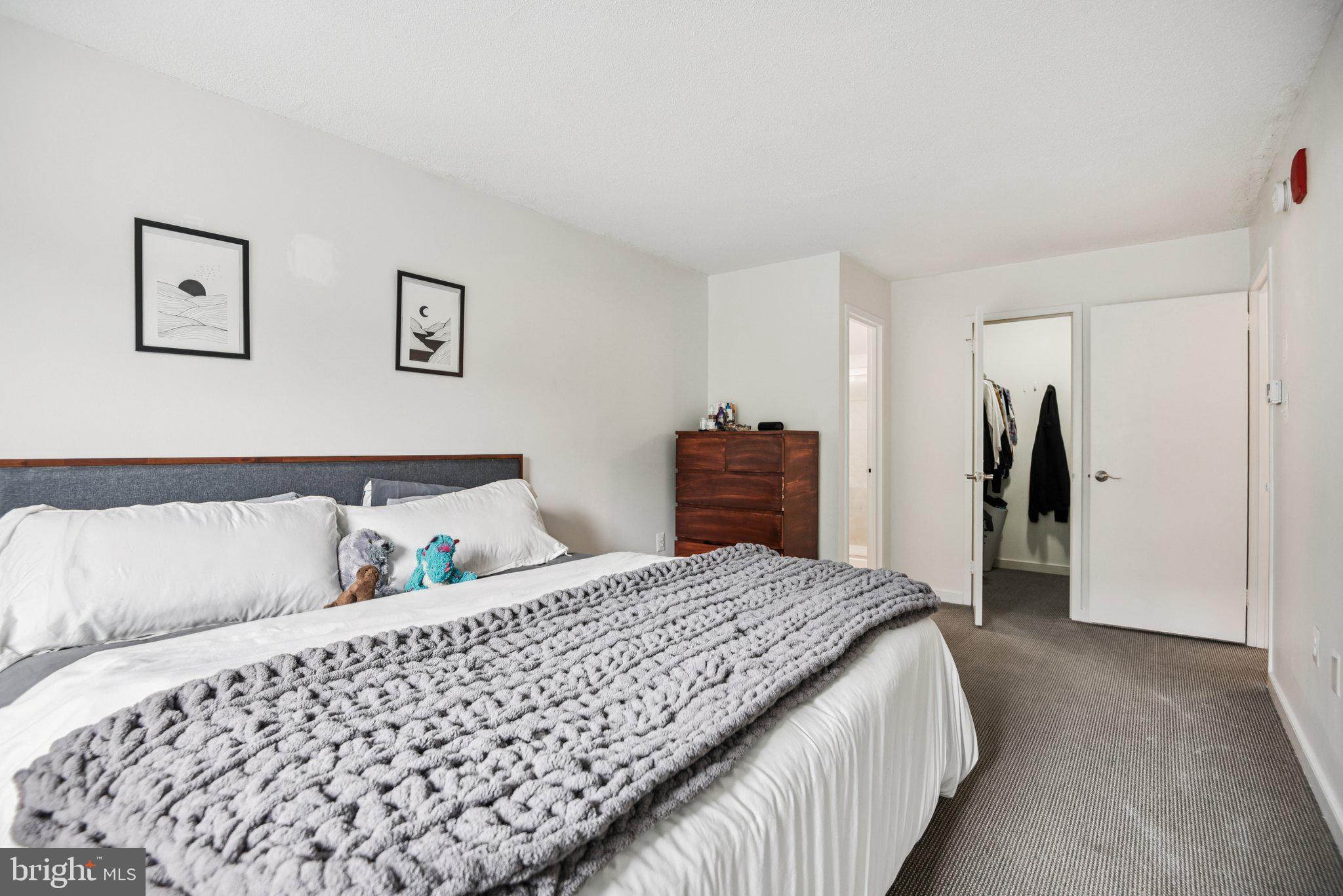 7333 New Hampshire Avenue, Unit 311S Takoma Park, MD 20912 - Photo 22 of 27 a bedroom with a large bed and dresser