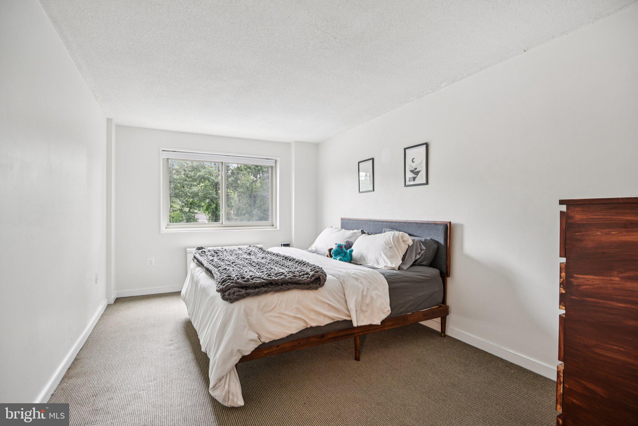 7333 New Hampshire Avenue, Unit 311S Takoma Park, MD 20912 - Photo 23 of 27 a bedroom with a bed and window