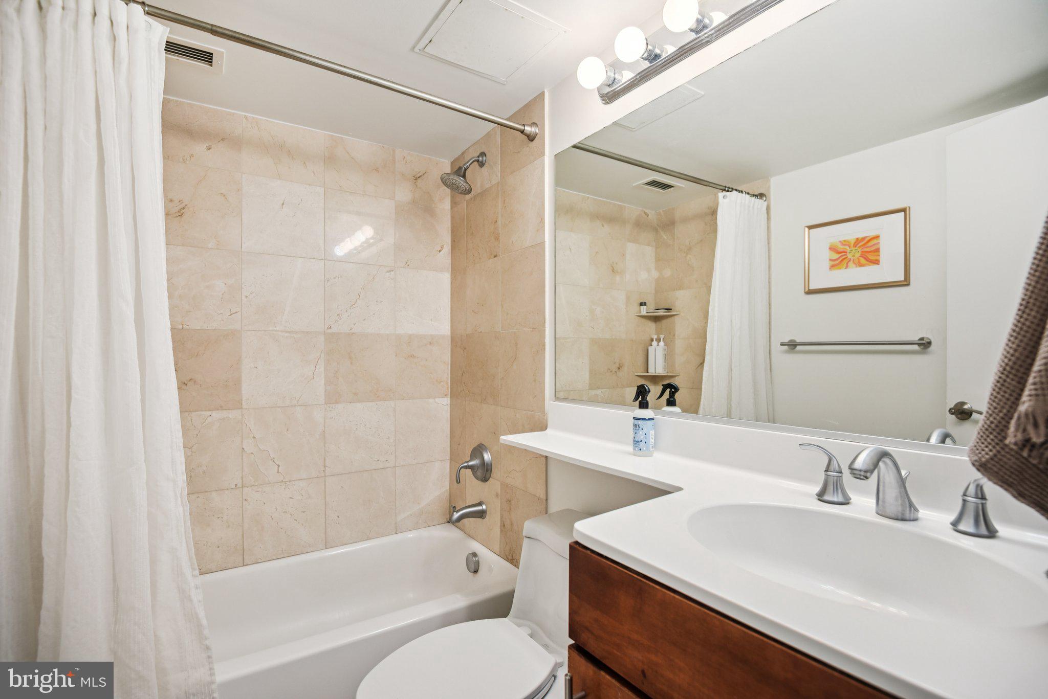7333 New Hampshire Avenue, Unit 311S Takoma Park, MD 20912 - Photo 24 of 27 a bathroom with a sink and a mirror