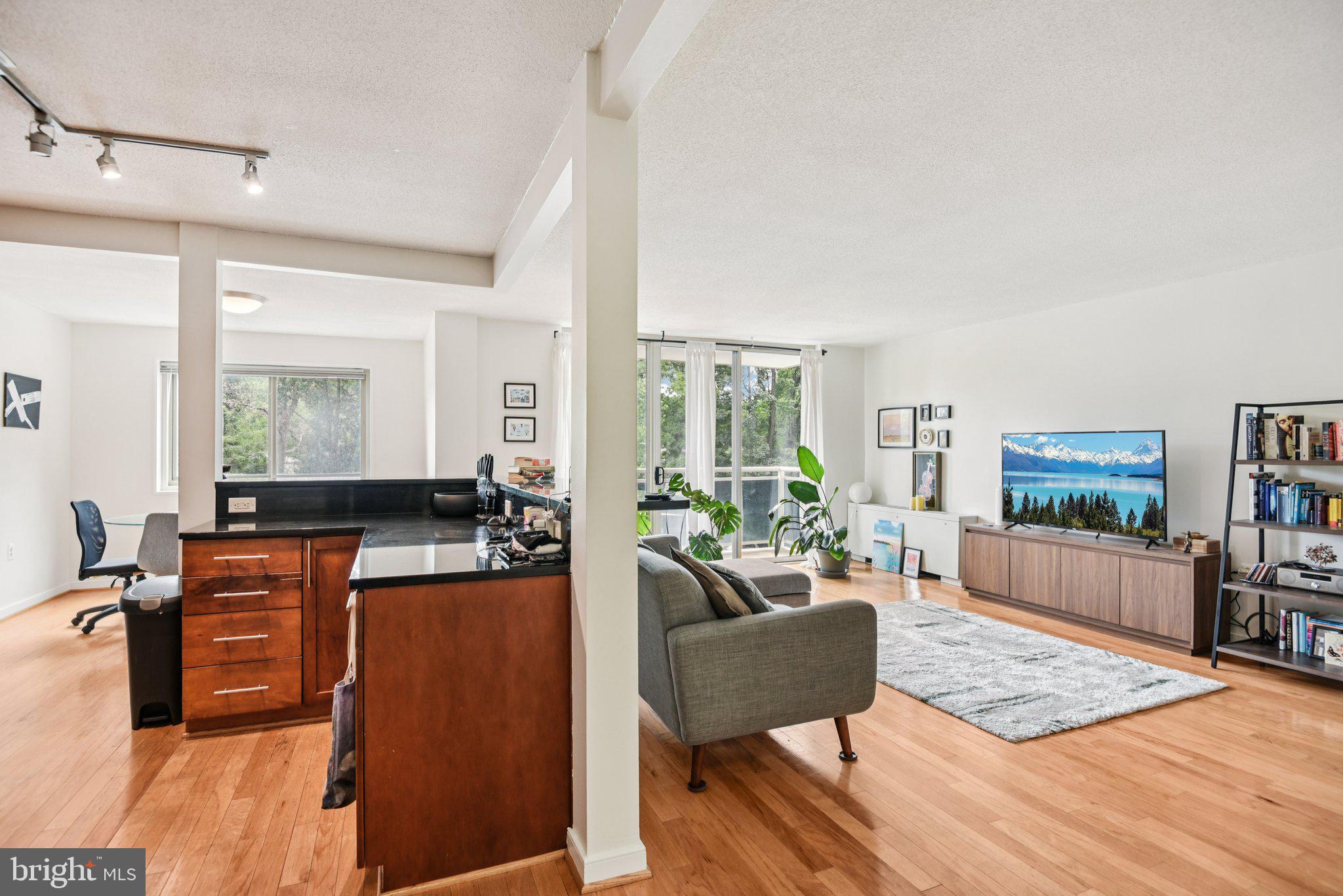 7333 New Hampshire Avenue, Unit 311S Takoma Park, MD 20912 - Photo 6 of 27 a living room with furniture and a flat screen tv