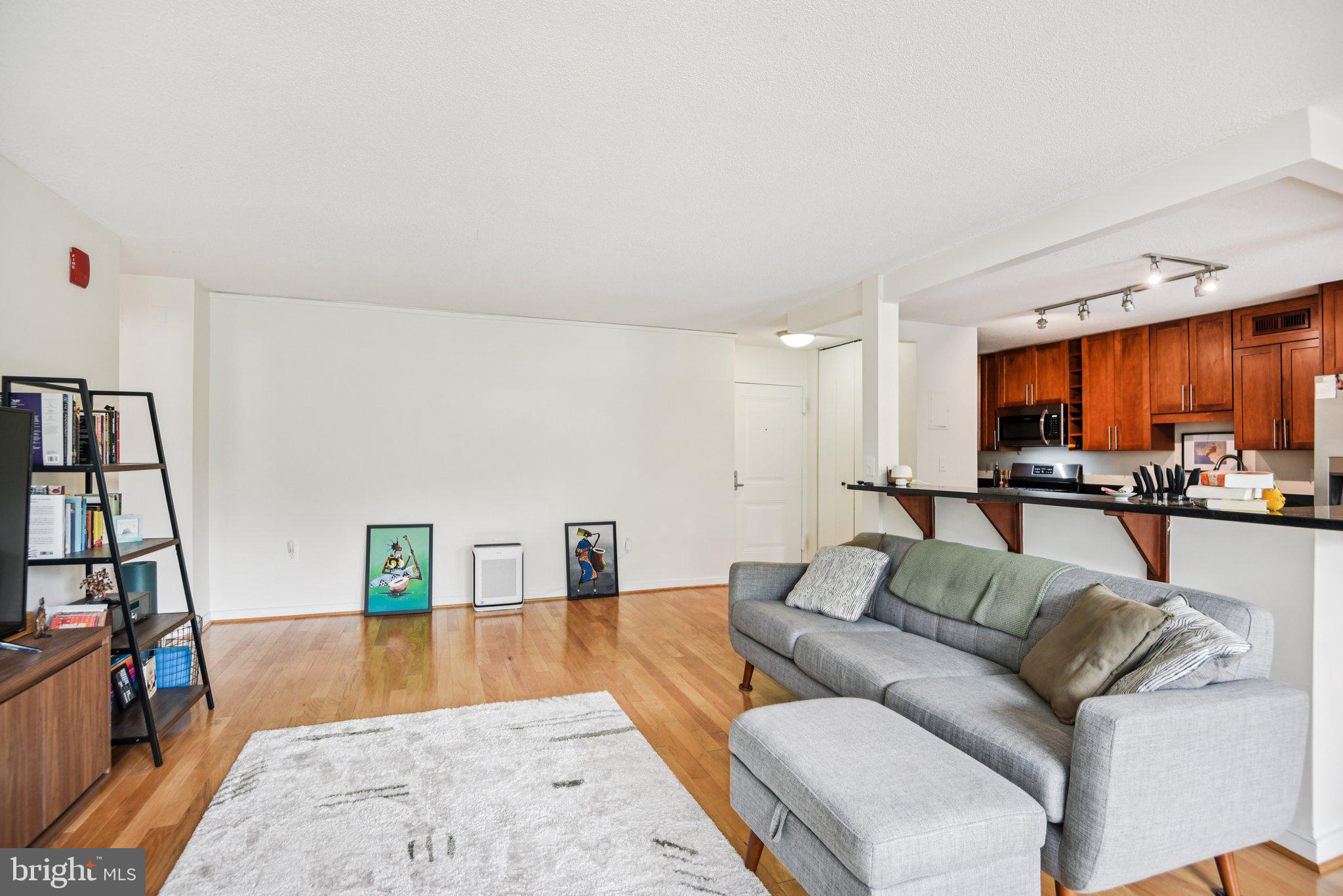 7333 New Hampshire Avenue, Unit 311S Takoma Park, MD 20912 - Photo 10 of 27 a living room with furniture and a flat screen tv