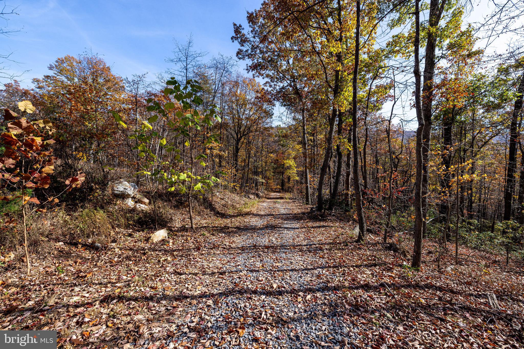 0 Moreland Gap Road Mount Jackson, VA 22842 - Photo 19 of 37