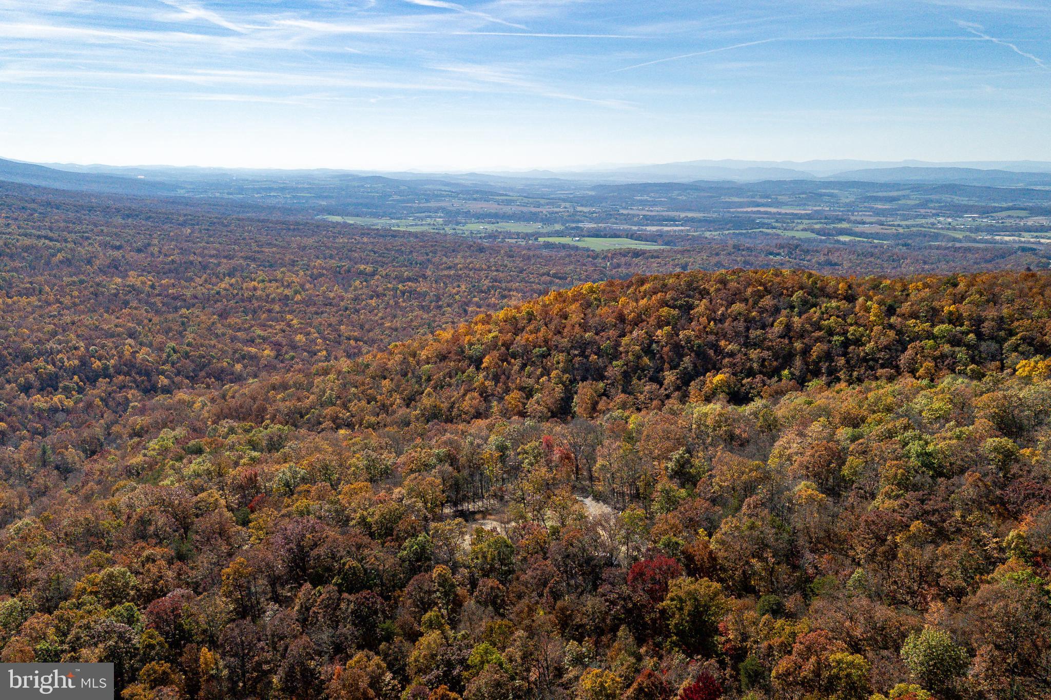0 Moreland Gap Road Mount Jackson, VA 22842 - Photo 20 of 37