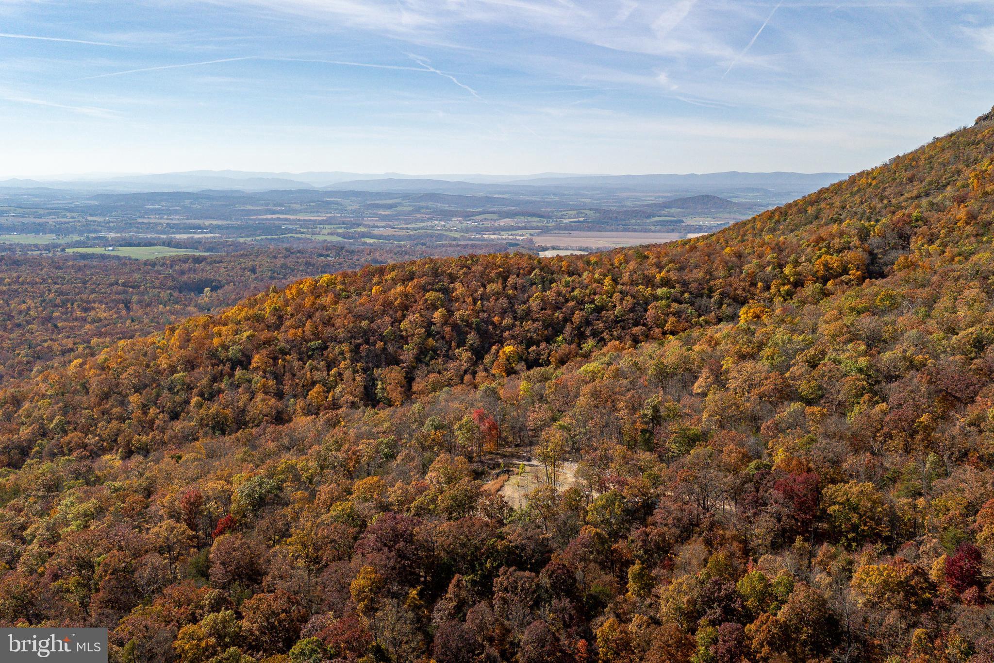 0 Moreland Gap Road Mount Jackson, VA 22842 - Photo 21 of 37