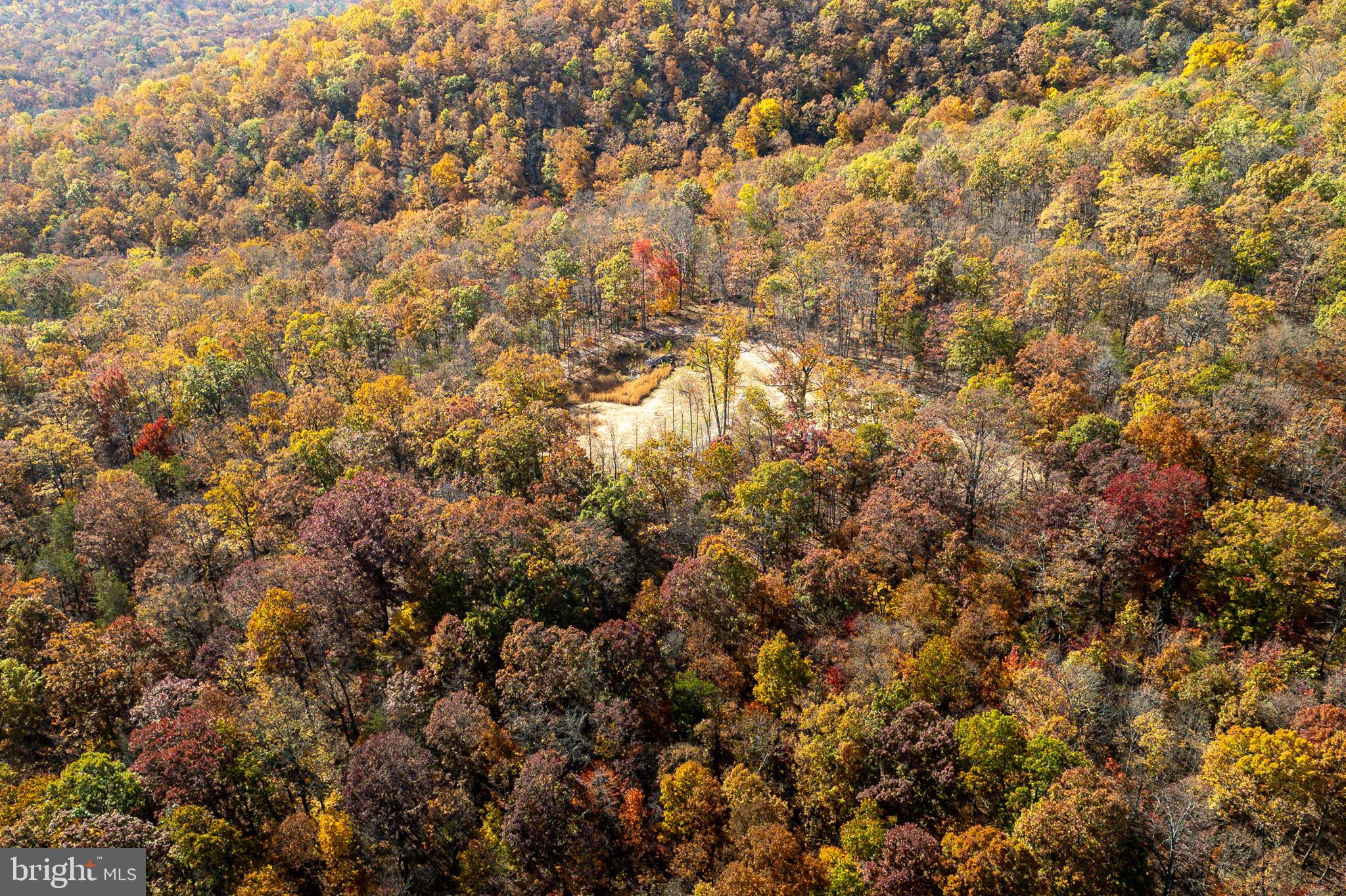0 Moreland Gap Road Mount Jackson, VA 22842 - Photo 29 of 37