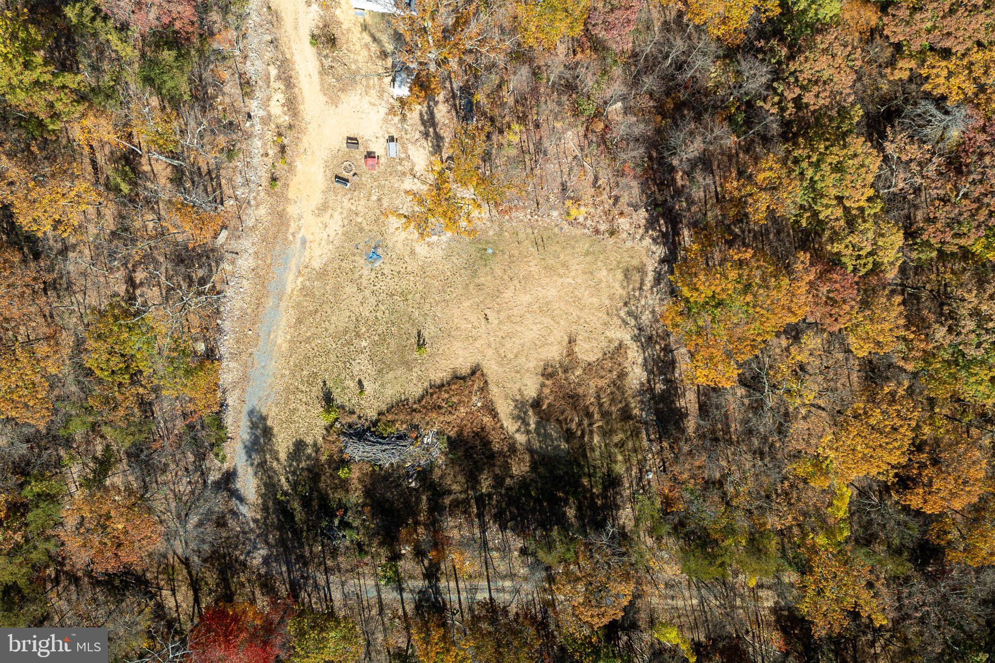 0 Moreland Gap Road Mount Jackson, VA 22842 - Photo 31 of 37